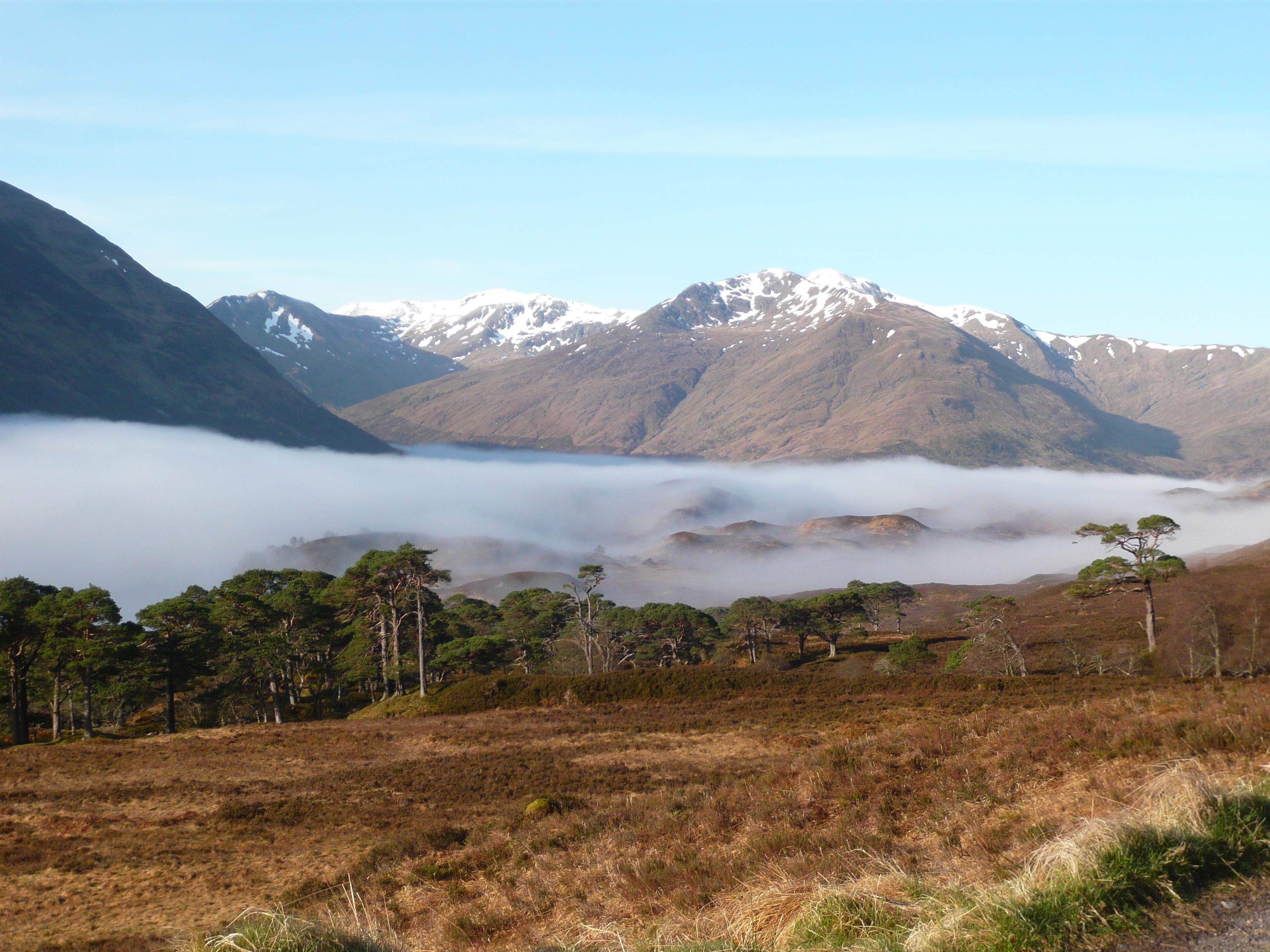 Morning mist in Glen Affric