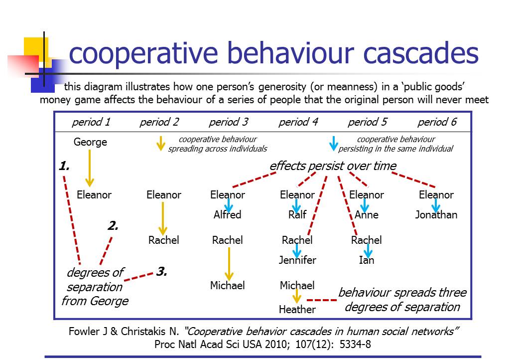 Cooperative behaviour cascades